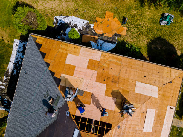 Best Metal Roofing Contractor  in Chaparral, NM